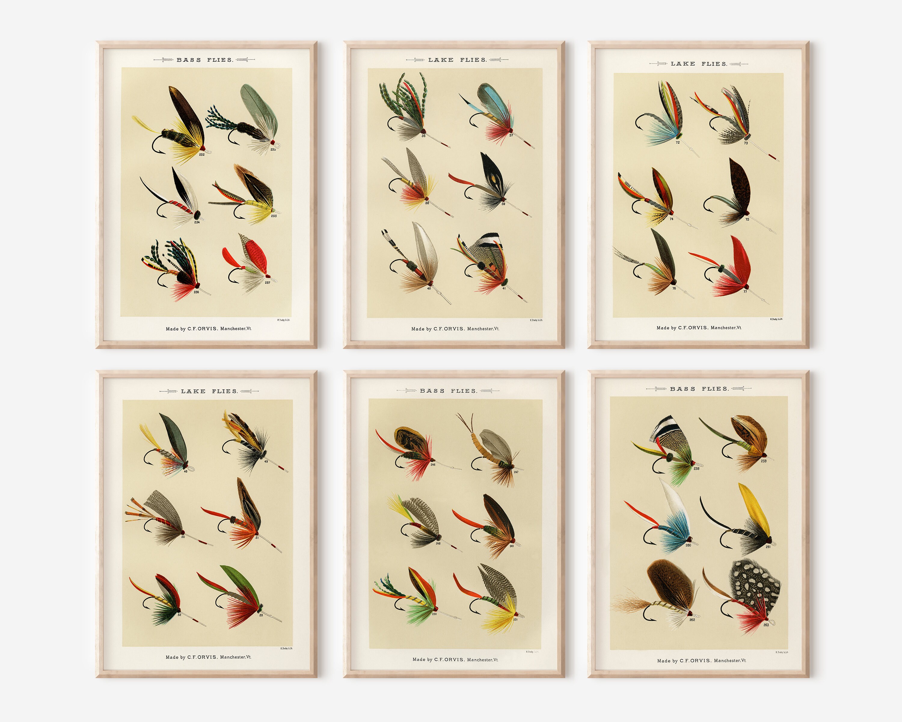 Coastal Print Set of 3 Fishing Decor. Vintage Fishing Flies