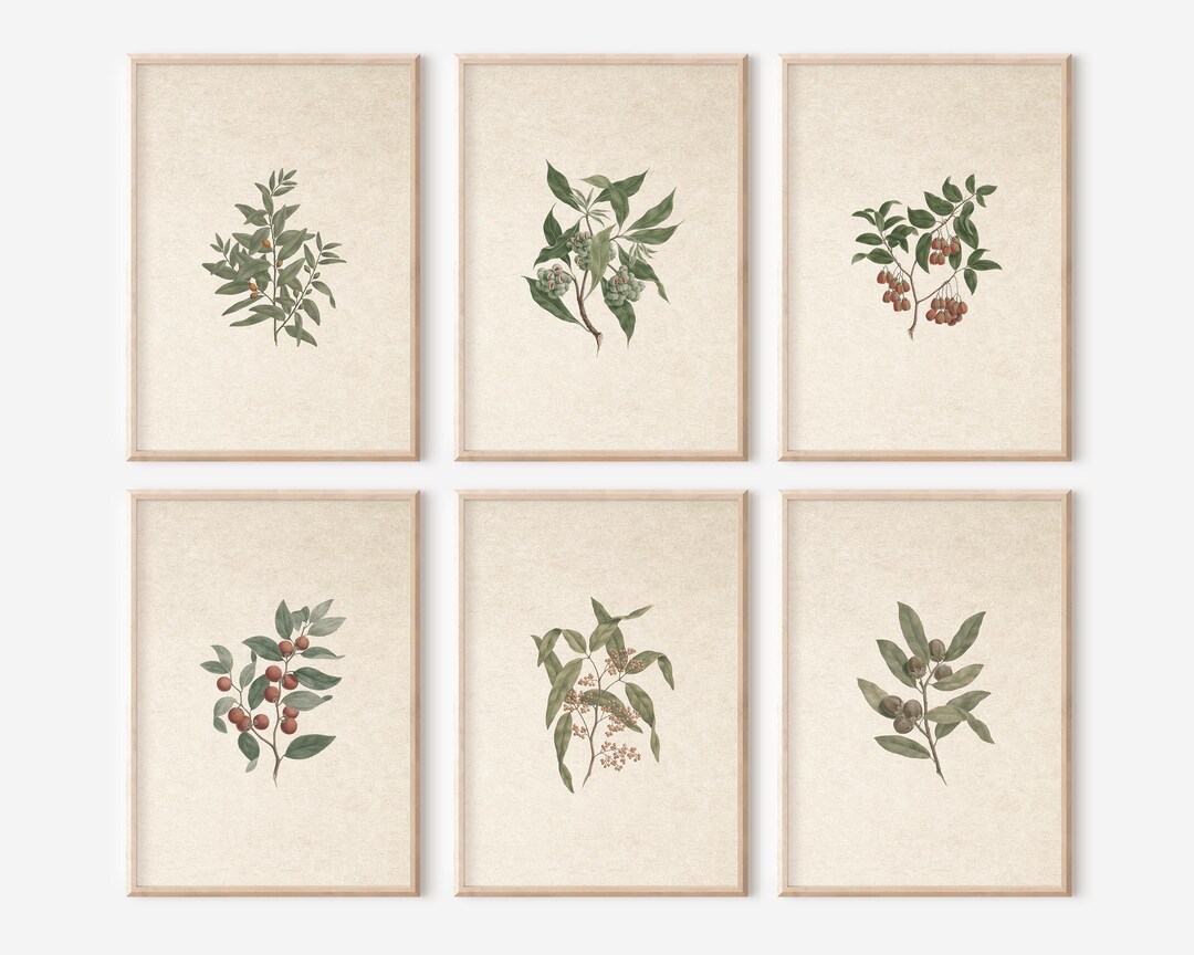 Neutral Botanical Print Set: Vintage French Country Art (digital ...
