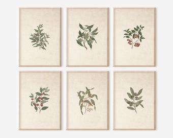 Neutral Botanical Print Set: Vintage French Country Art (Digital Download)