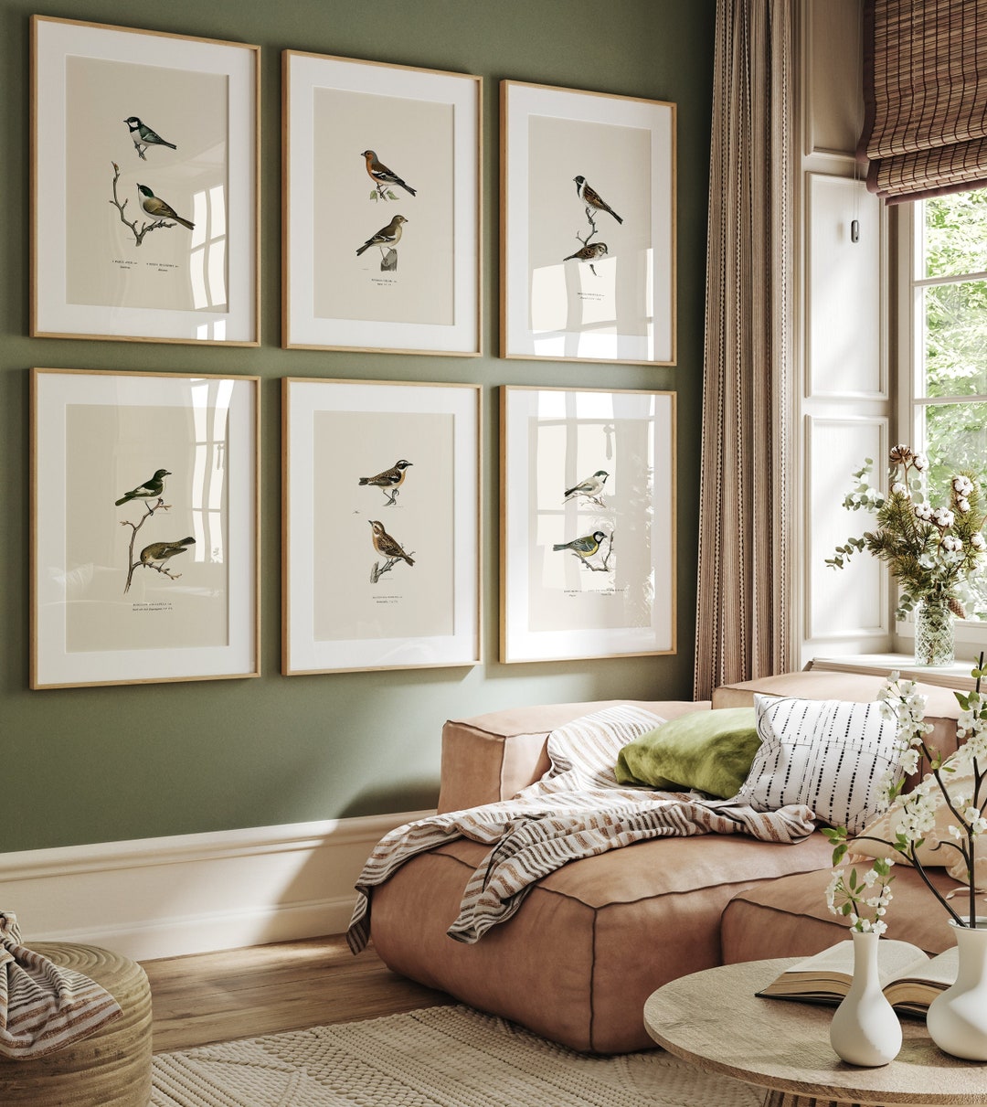 Vintage Bird Print Set: Gallery Wall Art (digital Prints) - Etsy