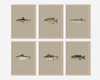 Vintage American Fish Prints Set: Neutral Fishing Decor (Digital Download)
