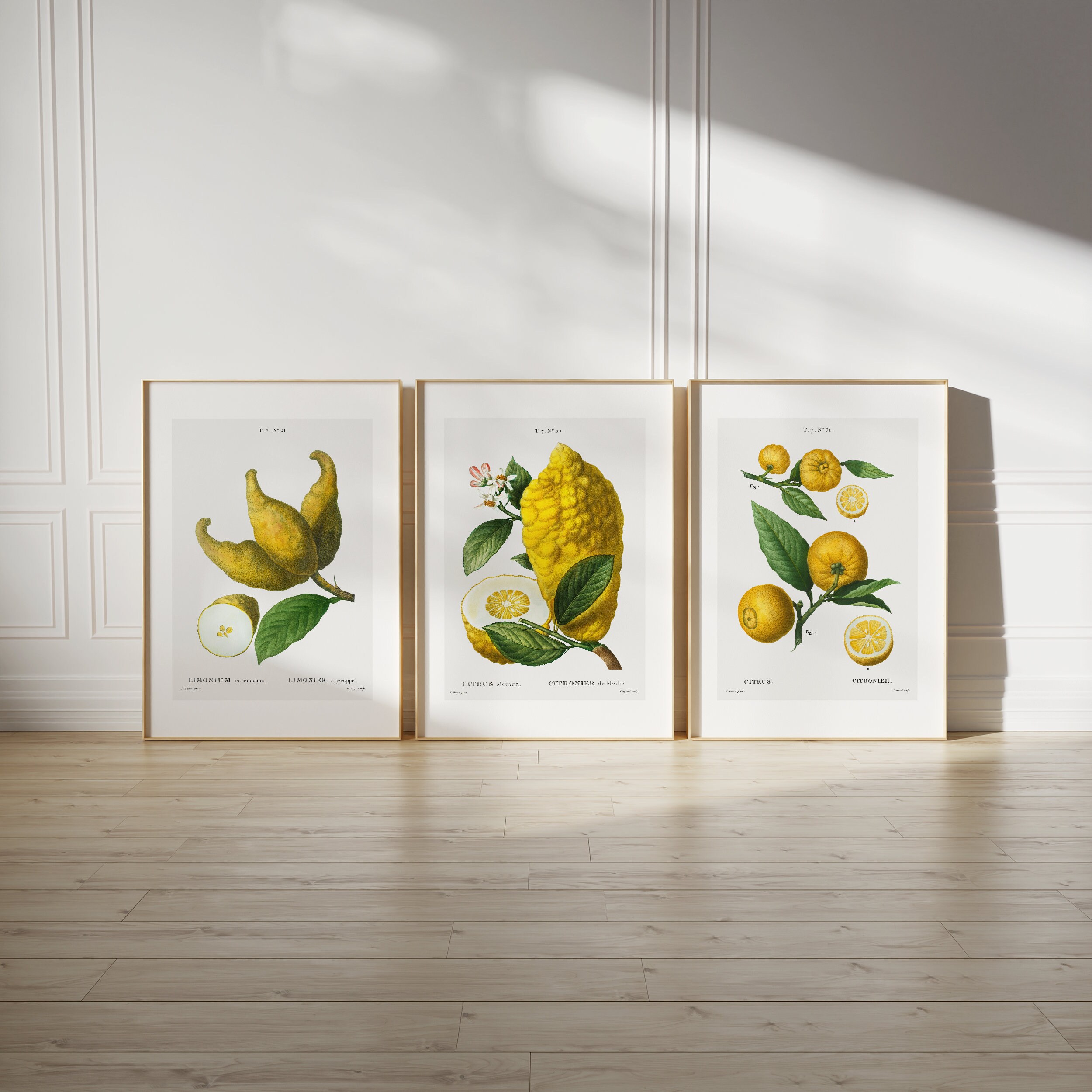Vintage Kitchen Wall Art Set of 6, Lemon Kitchen Wall Art, Printable Kitchen Art Set, Vintage