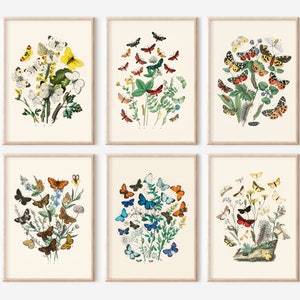 6 Vintage Butterfly prints, Printable Wall Art, Vintage Print Set, Statement Wall Art, Printable Butterfly Gallery Wall, Rainbow Art Prints