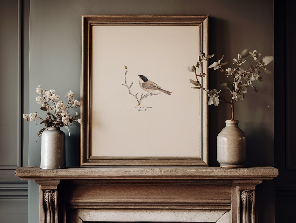 Vintage Garden Bird Prints Set, Delicate Bird Illustrations (digital ...