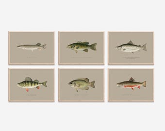 Vintage Fish Prints Set: American Species, Neutral Wall Art (Digital Download)