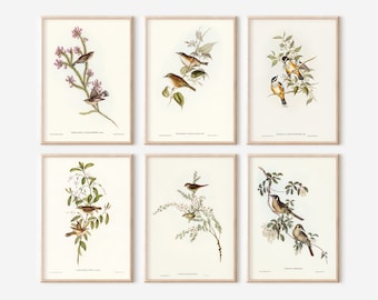 Puede incluir: Conjunto de seis estampas botánicas vintage que representan diferentes especies de aves posadas en ramas con flores delicadas. Las estampas están en una paleta de colores suaves con tonos marrones, blancos y verdes.
