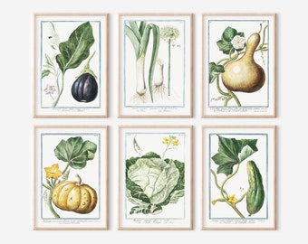 Vintage Vegetable Botanical Prints Set: Kitchen Gallery Wall (Digital Download)