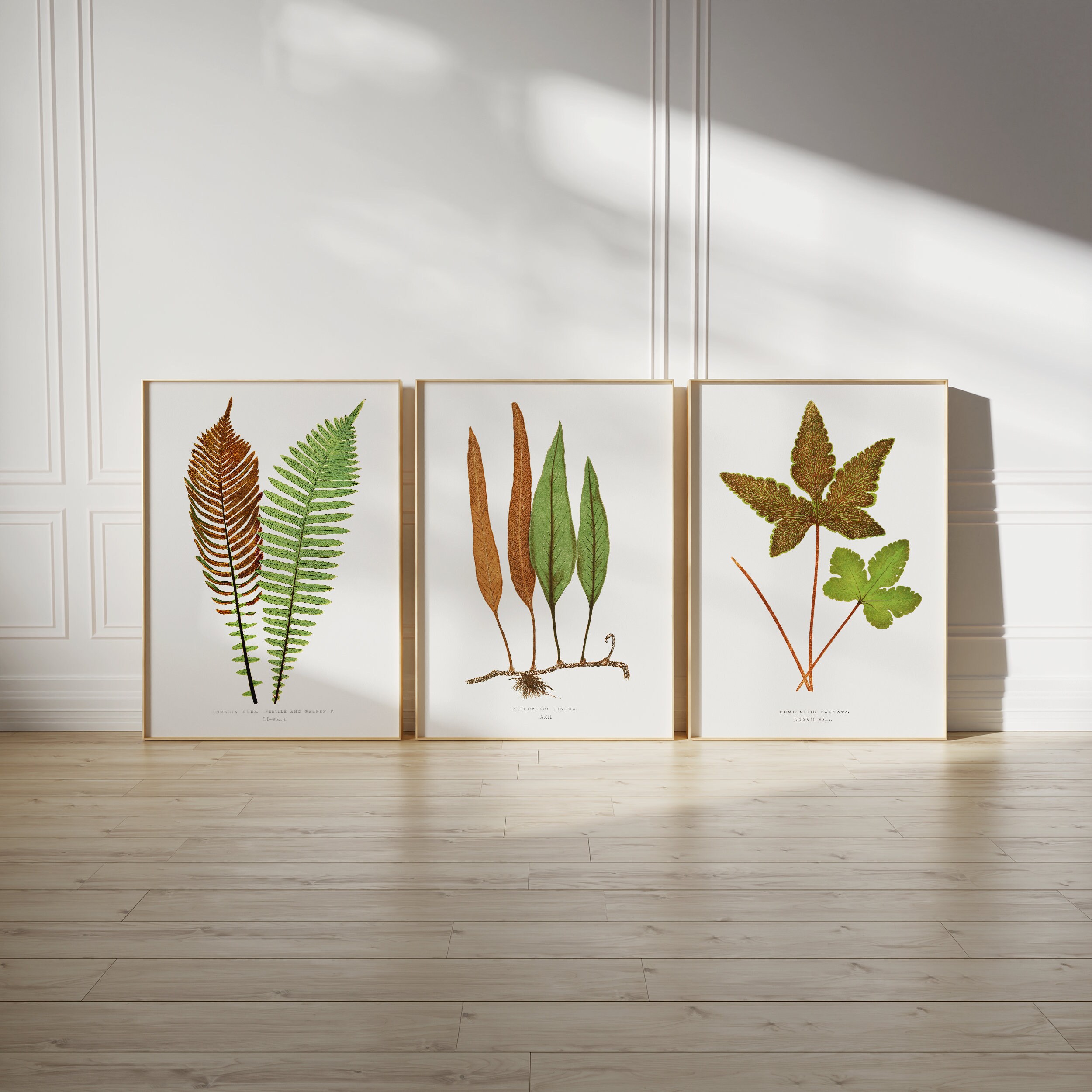 Vintage Fern Botanical Print Set: Green Gallery Wall Art (digital ...