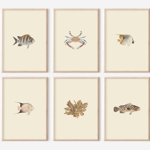 21 Marine Prints Gallery Wall Set, Neutral Fish Wall Art, Marine Print Set, Vintage Printable Wall Art, Vintage Marine Biology Art Print Set
