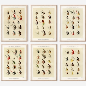 Fly Fishing Art Print Set: Vintage Flies Illustration (Digital Download)