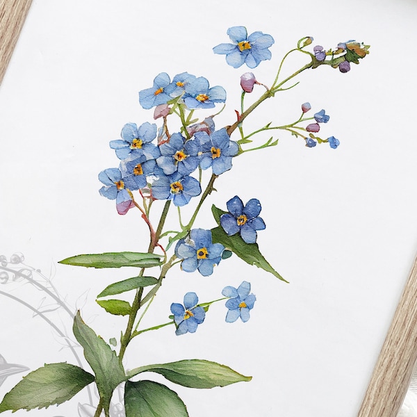 Forget me not Printable, forget-me-not digital print, Forget me not watercolor, forget me not poster, floral print, Wall Decor Digital