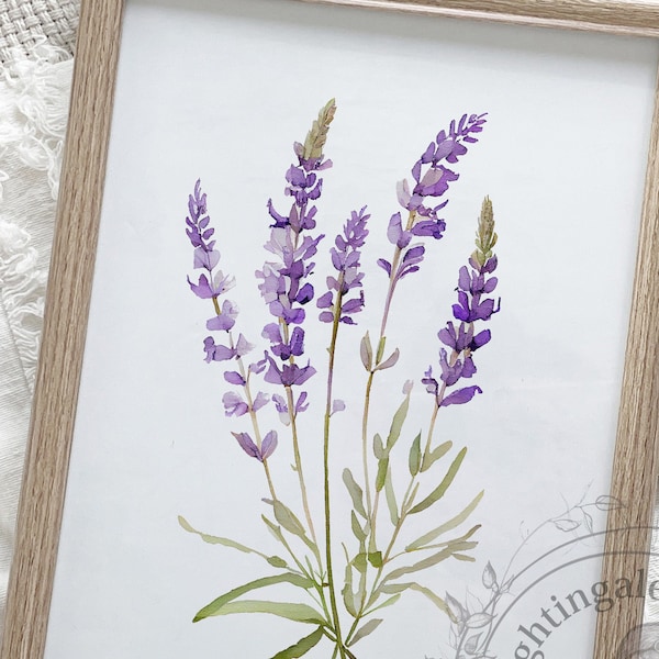 Lavender Printable, Lavender digital print, Lavender watercolor, lavender poster, floral print, Wall Decor Digital