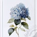 see more listings in the Flowers Wall Art section