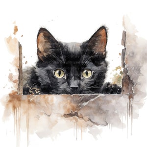 9 gluren kat clipart, zwarte kat clipart, afdrukbare aquarel clipart, hoge kwaliteit jpg's, digitale download, hoge resolutie, papierkunst