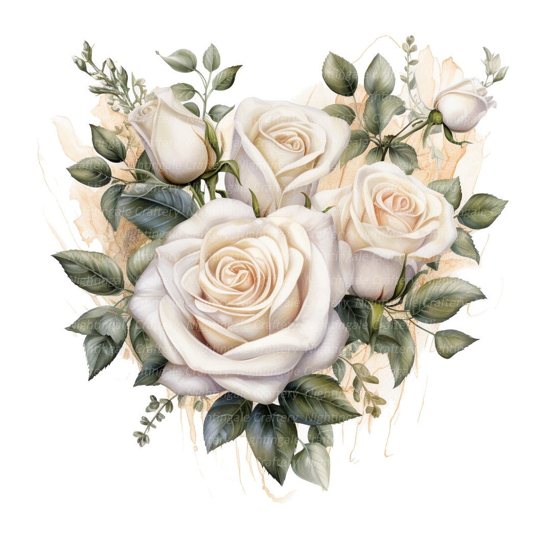 透明水彩画原画白薔薇ホワイトクリスマス 透明水彩画原画白薔薇ホワイトクリスマス