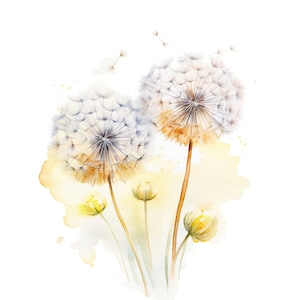 12 Löwenzahn Clipart, Botanischer Löwenzahn, druckbare Aquarell Clipart, hochwertige JPGs, digitaler Download, Papiermodell, Junk Journals