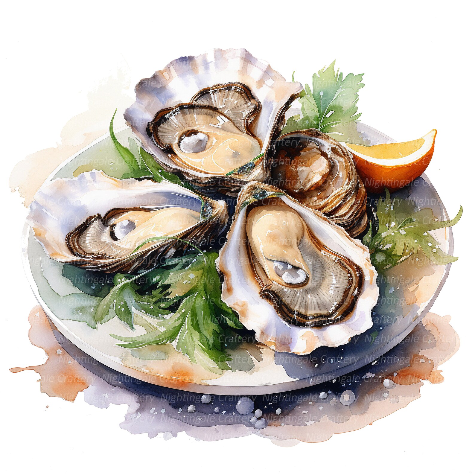 10 Oysters Clipart, Seafood Clipart, Printable Watercolor Clipart, High ...