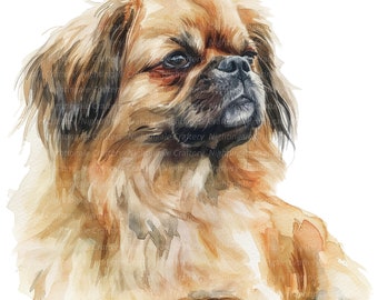 Pekingese: A dog journal for you to record your dog's life