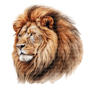 Puede incluir: Una pintura de acuarela de la cabeza de un le&oacute;n con una espesa melena de pelo marr&oacute;n y dorado. El le&oacute;n mira hacia la derecha, con una expresi&oacute;n seria en su rostro.