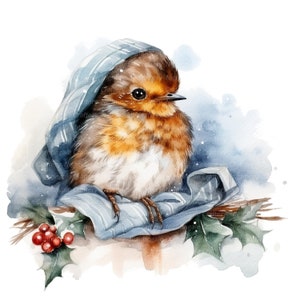 10 cliparts au repos Robin, Noël Robin, clipart aquarelle imprimable, fichiers JPG de haute qualité, téléchargement numérique, créations en papier, journal de bordel