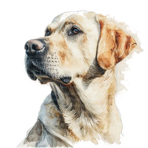 May include: A watercolor painting of a light brown Labrador Retriever dog with a white chest and a soft, gentle expression. The dog is looking to the left of the image and has a light brown collar.