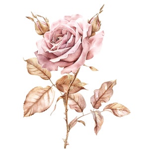 11 imágenes prediseñadas de rosas rosadas y doradas, tallo de rosa rosa, imágenes prediseñadas de acuarela imprimibles, descarga digital, PNG/JPG de alta calidad, manualidades con papel, diarios creativos.
