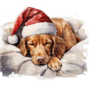 May include: A watercolor painting of a brown dog wearing a red Santa hat and sleeping on a white pillow. The dog has its eyes closed and its paws are tucked under its chin.