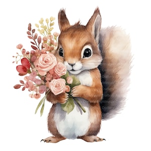 12 eekhoorn clipart, bloemen boeket, afdrukbare aquarel clipart, hoge kwaliteit png's, digitale download, papier ambacht, junk tijdschriften