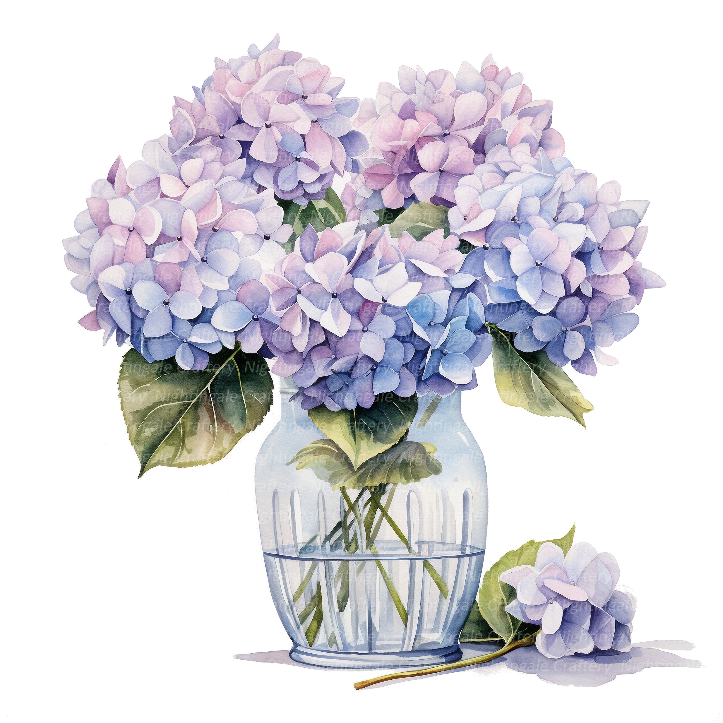 12 Hydrangea in Vase Clipart, Blue Hortensia, Printable Watercolor ...