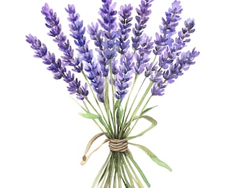 Lavendel Clipart, Lavendel Bouquet Set, druckbare Aquarell Clipart, 14 hochwertige JPGs, digitaler Download, Papiermodell, Junk Journal