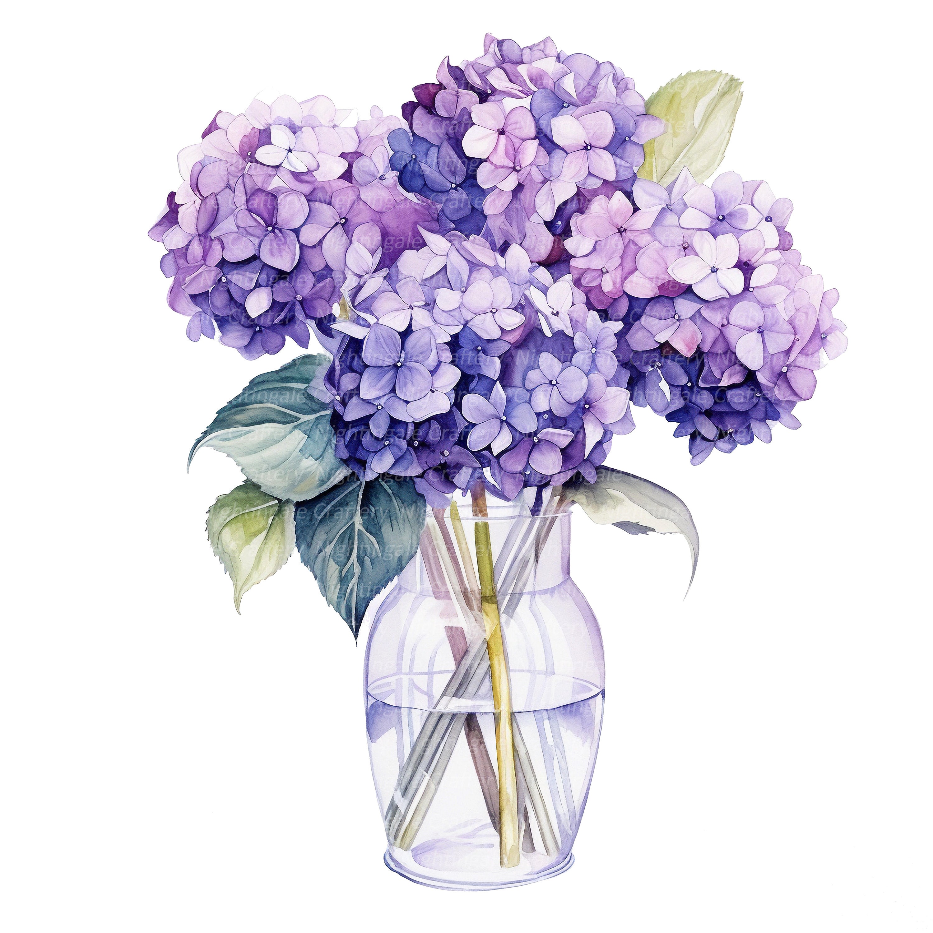 12 Hydrangea in Vase Clipart, Blue Hortensia, Printable Watercolor ...