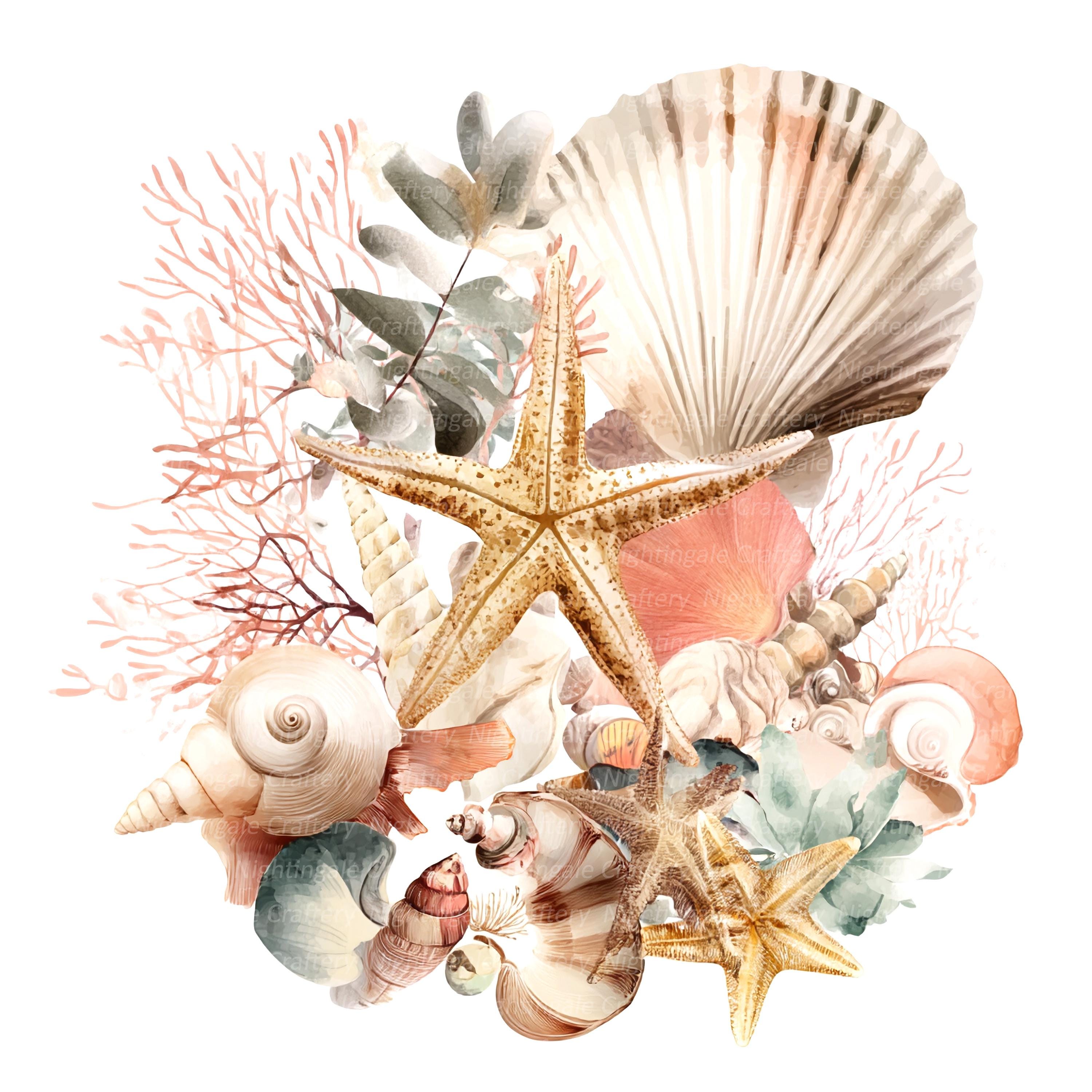 10 Boho Sea Shells Clipart, Seashell Clipart, Printable Watercolor ...