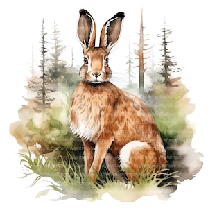 Clipart lièvre dans la forêt, clipart aquarelle imprimable, 12 fichiers JPG/PNG de haute qualité, téléchargement numérique, travaux manuels en papier, journaux indésirables