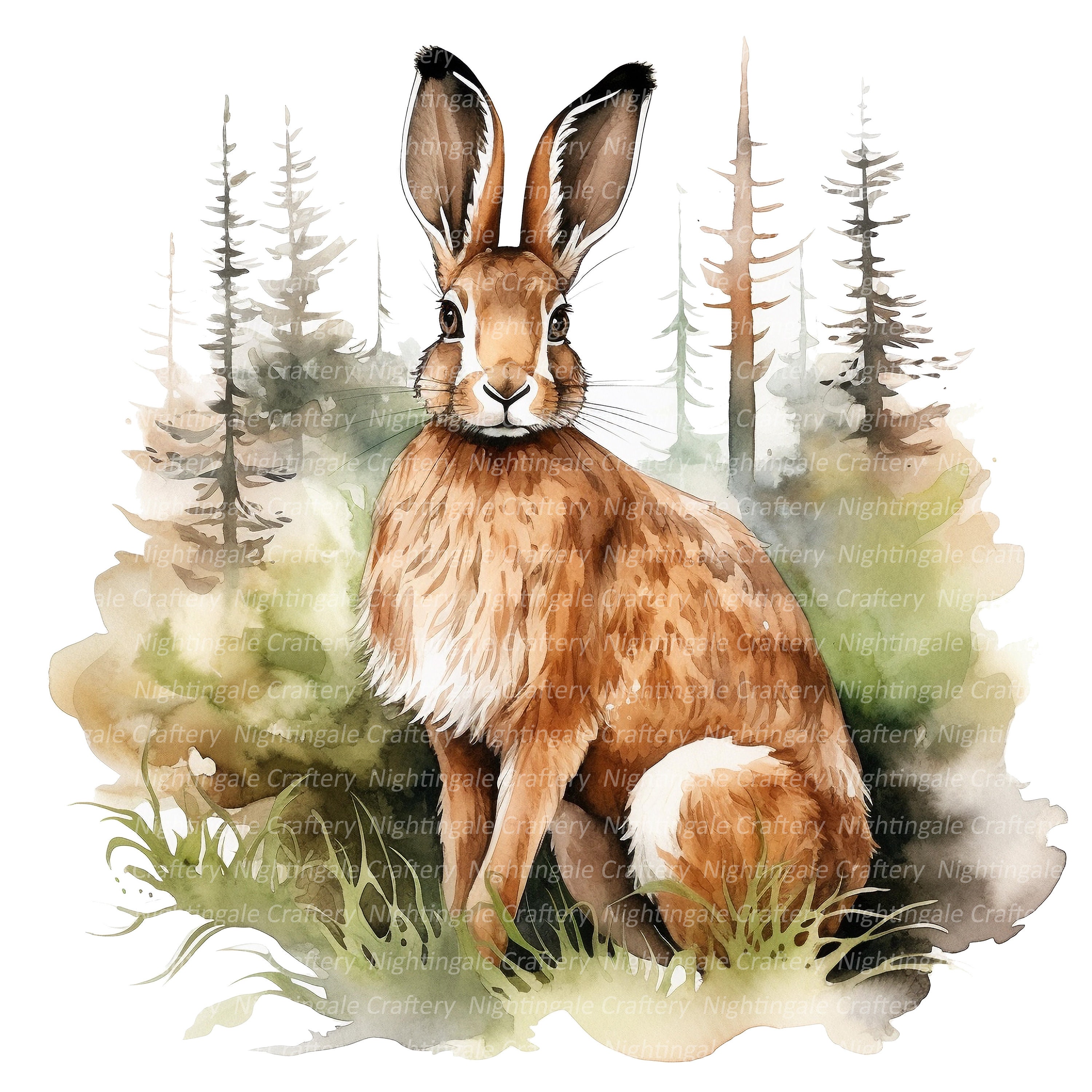 Hare in Forest Clipart, Printable Watercolor clipart, 12 High Quality JPG/PNGs, Digital download, Paper crafts, junk journals