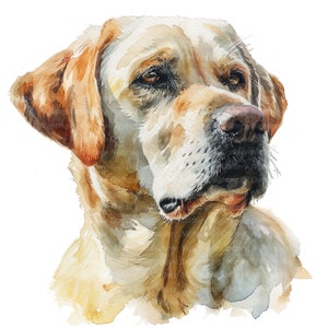 May include: A watercolor painting of a golden retriever dog with a light brown and white coat. The dog's head is turned to the side, and its eyes are closed. The painting is done in a realistic style, with soft brushstrokes and subtle shading.