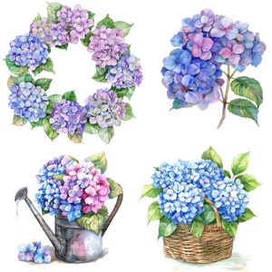 10 Vários clipart de hortênsia, buquê de hortênsia, clipart de aquarela para impressão, PNG de alta qualidade, download digital, artesanato em papel, diário de lixo