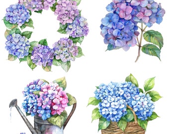 10 Various Hydrangea Clipart, Hydrangea bouquet, Printable Watercolor clipart, High Quality PNG, Digital download, Paper craft, junk journal