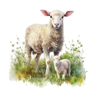 May include: A white sheep with a fluffy coat stands in a field of green grass with a smaller white lamb beside it. The sheep and lamb are looking at the viewer.