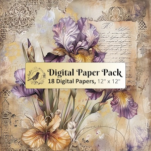 18 documenti di sfondo Vintage Iris, pacchetto di carta digitale 12 x 12, carta per diario spazzatura, carta per album, carta stampabile, JPG di alta qualità
