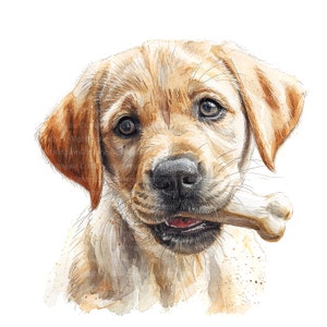 12 clipart de cachorrinho com osso, vários cachorrinhos, clipart em aquarela para impressão, JPGs de alta qualidade, download digital, artesanato em papel, diários indesejados
