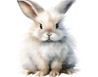 10 PNG Fluffy Bunny Clipart, Clipart lapin, clipart aquarelle imprimable, PNG de haute qualité, téléchargement numérique, créations en papier, journaux indésirables