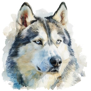 9 Husky Dog Clipart, Watercolor Husky Print, Printable Watercolor clipart, High Quality JPGs, Digital download, Paper craft, junk journals