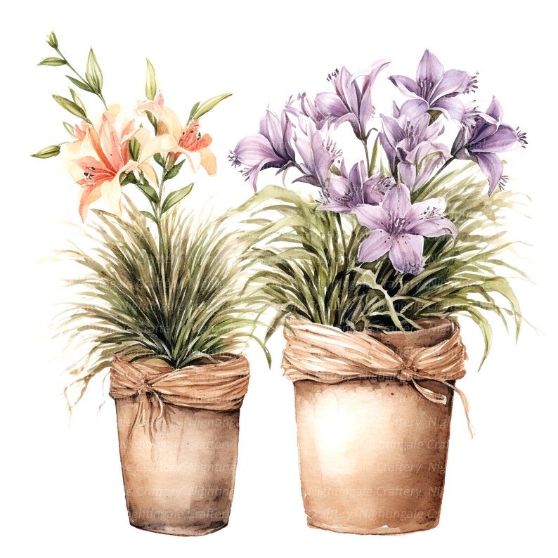 14 Rustic Flower Pots Clipart, Rustic Pots, Printable Watercolor clipart, High Quality JPGs, Digital download, Paper craft, junk journals image 5