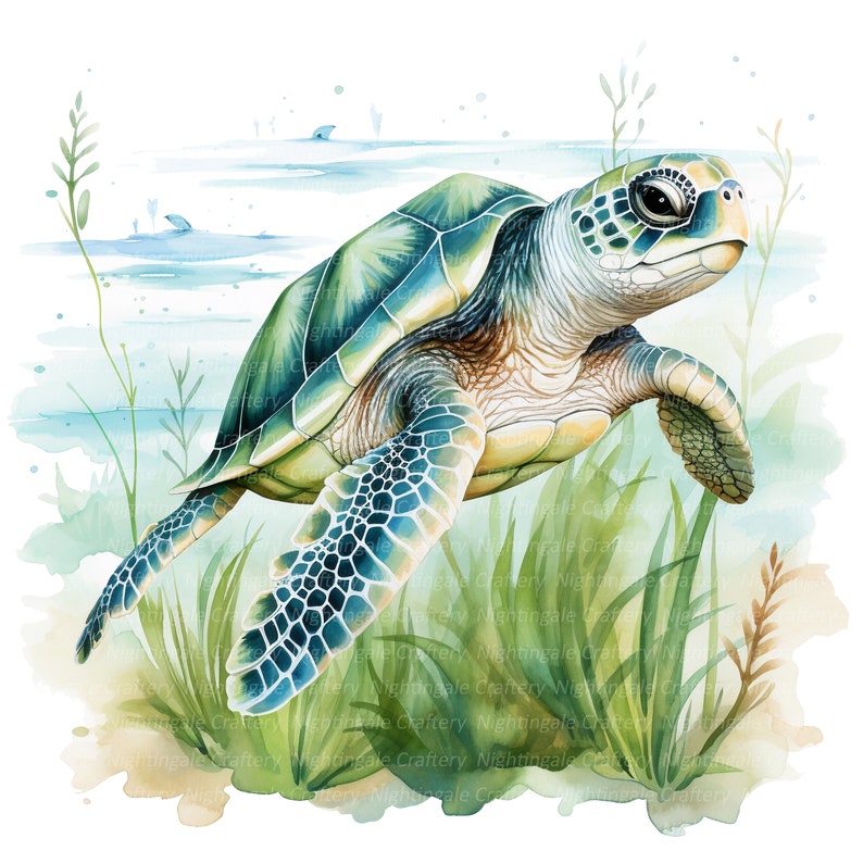 May include: Watercolor illustration of a sea turtle swimming in the ocean. The turtle has a green and blue shell, with a light brown underside. The background features aquatic plants and a glimpse of the ocean.