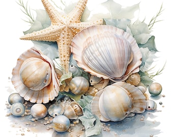 10 Gorgeous Sea Shells Clipart, Seashell Clipart, Printable Watercolor clipart, High Quality PNG, Digital download, Papercraft, junk journal