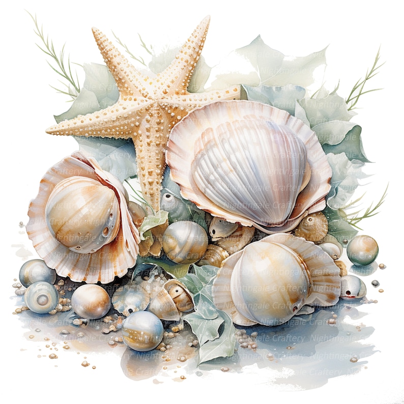 Puede incluir: Una pintura de acuarela de una estrella de mar, conchas y perlas. La estrella de mar es de color marr&oacute;n claro y tiene cinco puntas. Las conchas son blancas y tienen un brillo nacarado. Las perlas son blancas y redondas.