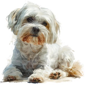 10 Malteser Hund Clipart, druckbare Aquarell Clipart, hohe Qualität JPG, digitaler Download, Papiermodelle, Junk Journal, Malteser Hund Druck