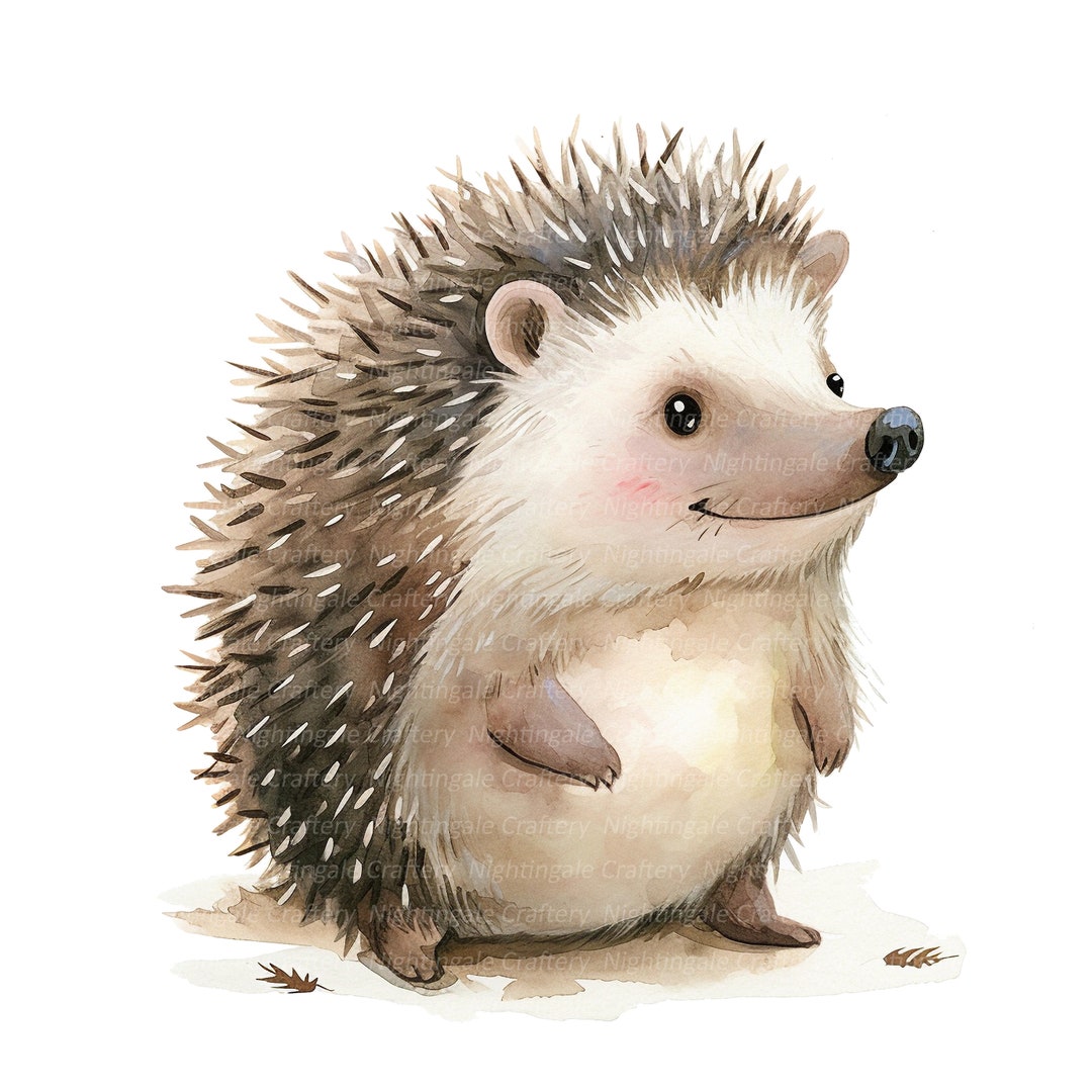 10 Hedgehog Cartoon Clipart Cartoon Hedgehog Printable Watercolor 