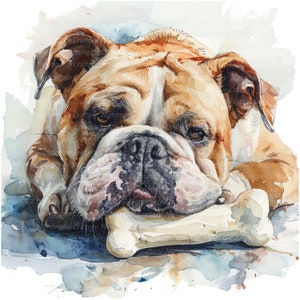 8 English Bulldog Clipart, Bulldog with Bone, Printable Watercolor clipart, High Quality JPGs, Digital download, Paper craft, junk journal