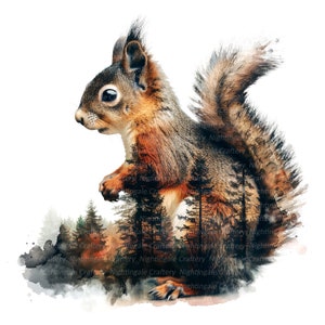 8 Eichhörnchen Wandkunst, Eichhörnchen Foto, druckbare Wandkunst, hochwertige PNGs, digitaler Download, hohe Auflösung, T-Shirt-Design, Sublimation